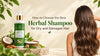 How to Choose the Best Herbal Shampoo for Dry and Damaged Hair