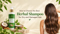 How to Choose the Best Herbal Shampoo for Dry and Damaged Hair